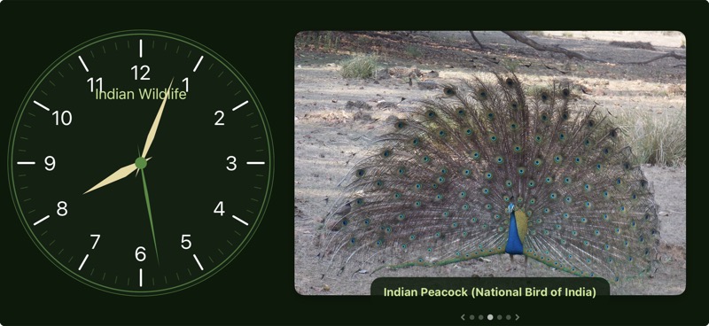 Indian Wildlife theme